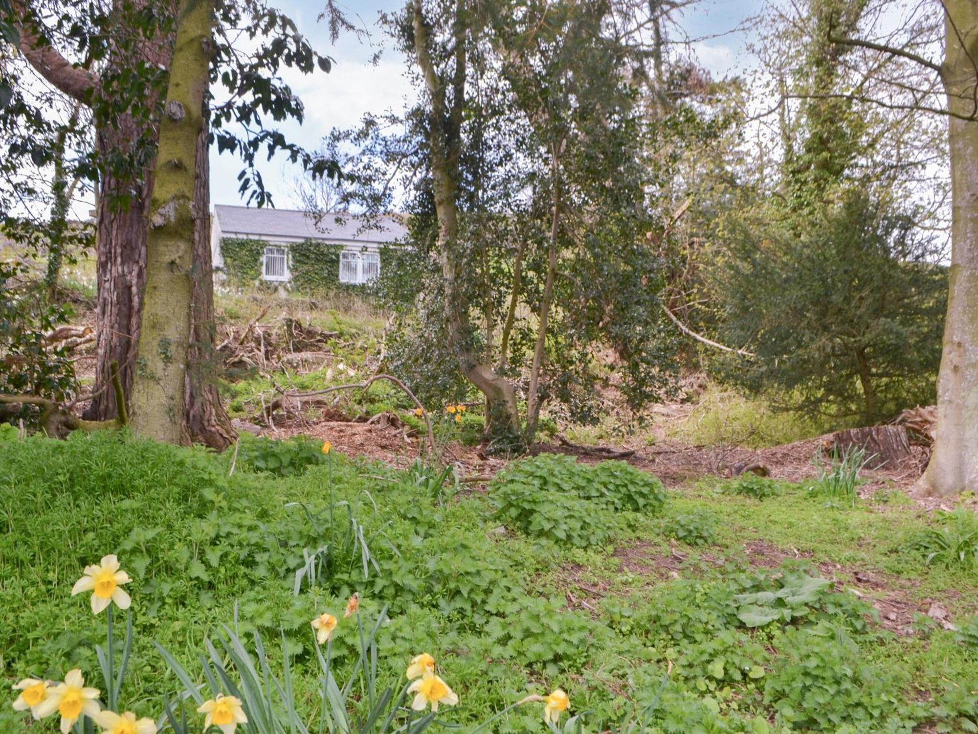 Maisies Cottage Earle Buitenkant foto