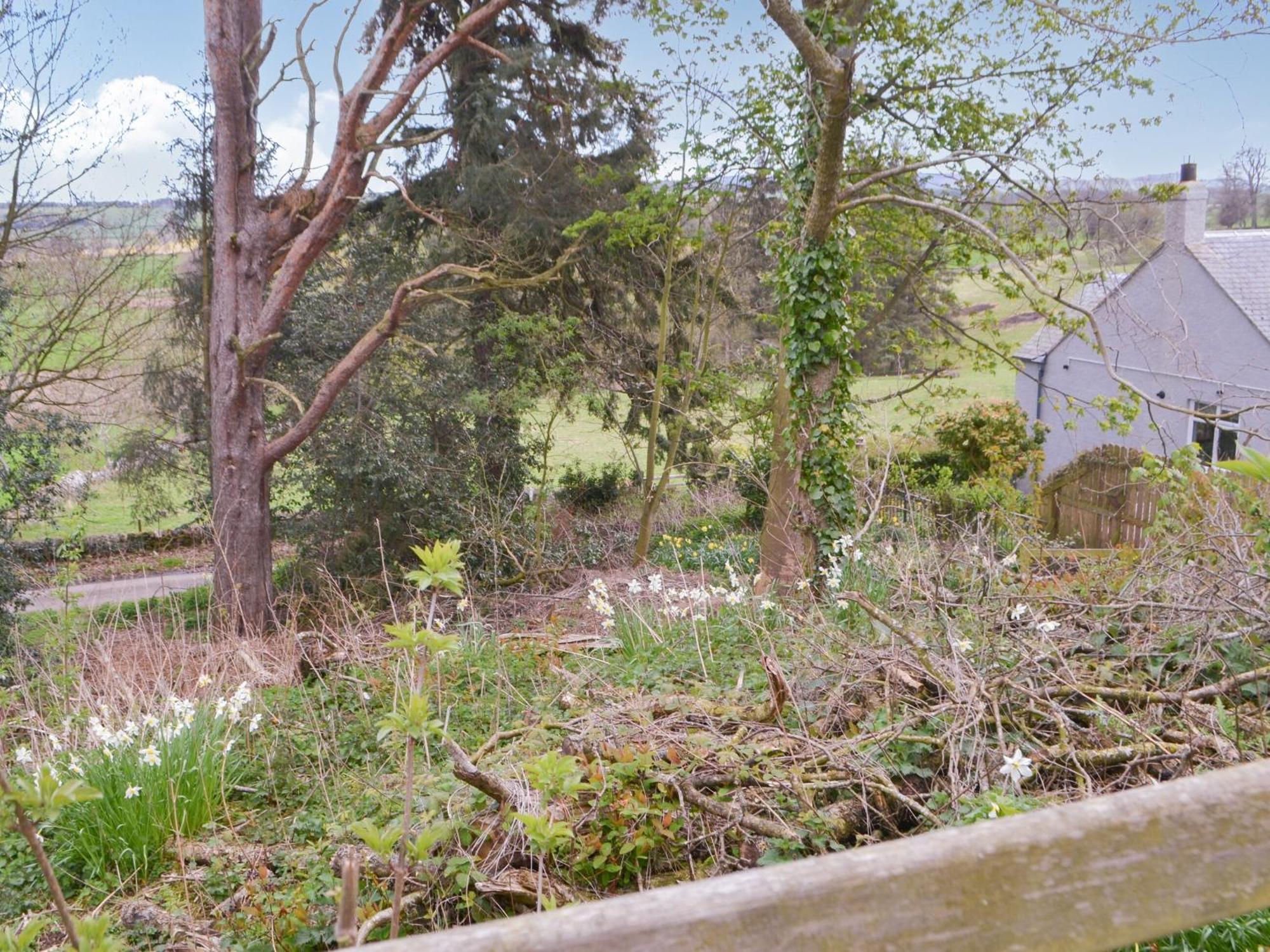 Maisies Cottage Earle Buitenkant foto